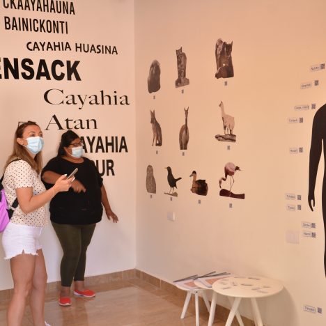 “El Tesoro de Taltal”: Nueva exposición en la Galería Pablo Neruda muestra el patrimonio artístico y cultural de Taltal