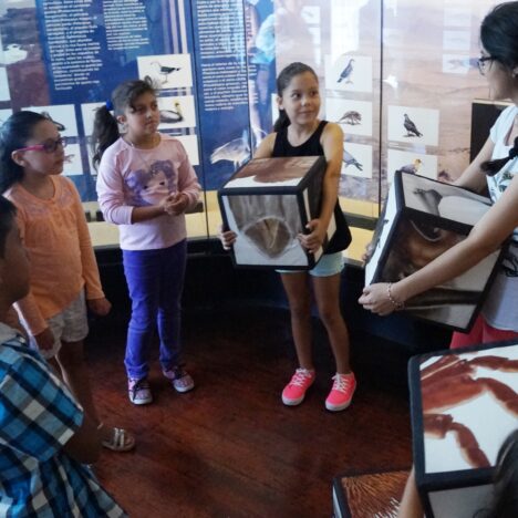 Museo Ruinas de Huanchaca obtiene importantes recursos a nivel nacional para el mejoramiento y resguardo de sus colecciones